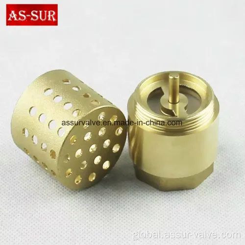 Swing Vs Spring Check Valves Brass Spring Check Valve with Filter as-C003 Factory